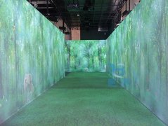 ýw滥(dng)ͶӰϵy(tng)