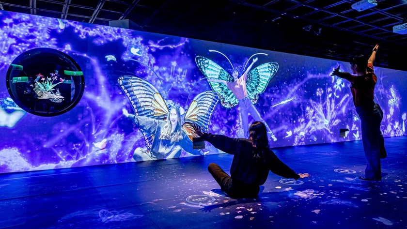 �w�(y��n)����(d��ng)ͶӰϵ�y(t��ng)