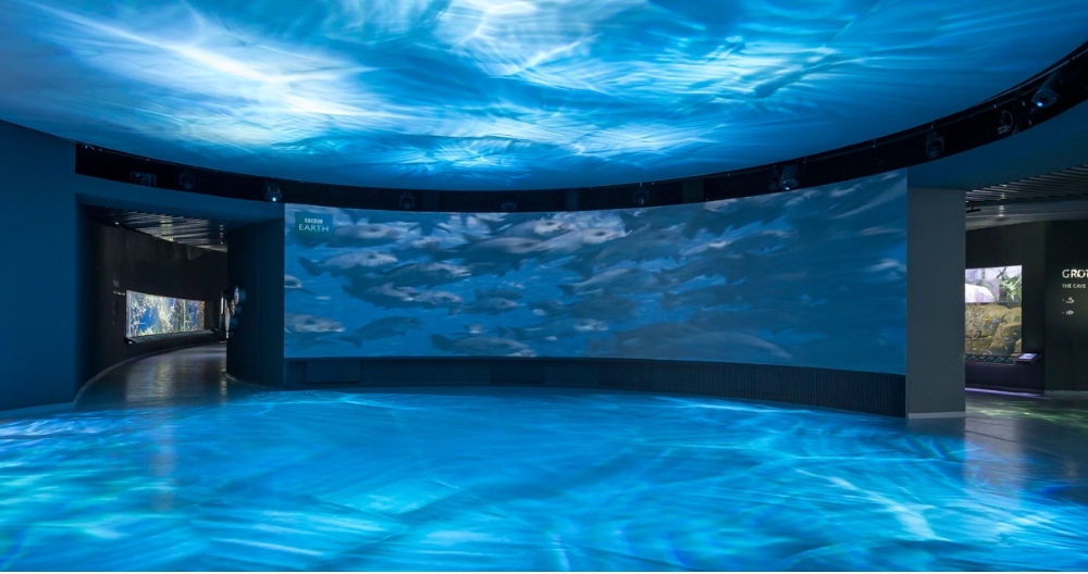 沉浸式空間 弧幕投影技術(shù)營造的沉浸式空間