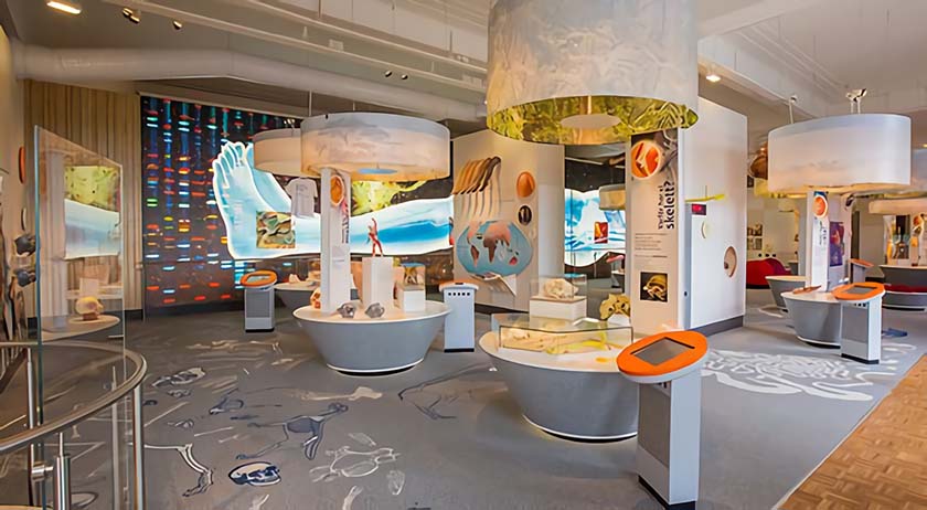 兒童科普館設(shè)計(jì) 兒童科普館設(shè)計(jì)效果圖