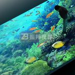 地面互動(dòng)投影為商業(yè)街所帶來的作用與效果