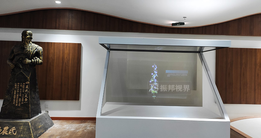 博物館全息柜 博物館中的全息柜