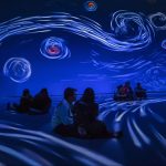 l(f)P(gun)עĳʽչ[չʾg漰Щg(sh)