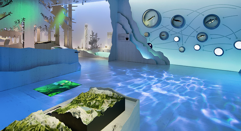 �������}չ�d