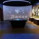 ^\É滥ͶӰ[vʷwȾ^Շ