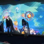 ͿfL(sh)ֻ(j)ͶӰںϼg(sh)ʽ(dng)w(yn)