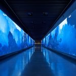 (dng)ͶӰg(sh)¿Ƽչ[^(sh)ˇg(sh)δпg