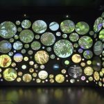 սͶӰbʽW(xu)(x)w(yn)