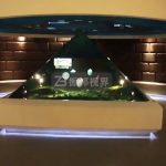 ȫϢͶӰչڵخa(chn)չdеĄ(chung)(sh)`_ȫҕXw(yn)r(sh)