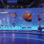 չ^OӋwҎ(gu)輚֞ĎׂOӋ֣