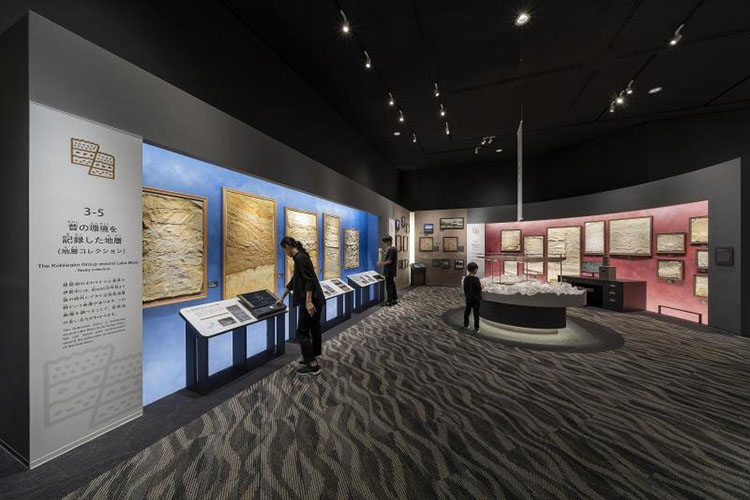 廉政展館多媒體互動裝置設(shè)計效果