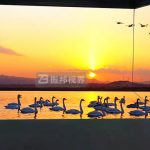 展廳機(jī)器人