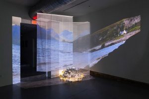 ĻͶӰĶ(yng)УЩɹֵýbcW(xu)(x)