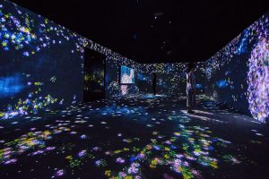 ʽͶӰgչdOӋwЧкҪx