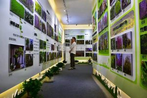 OӋս^Ļչ^(q)rںϬF(xin)ƼWw