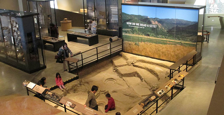 農(nóng)業(yè)展館設(shè)計(jì)效果圖