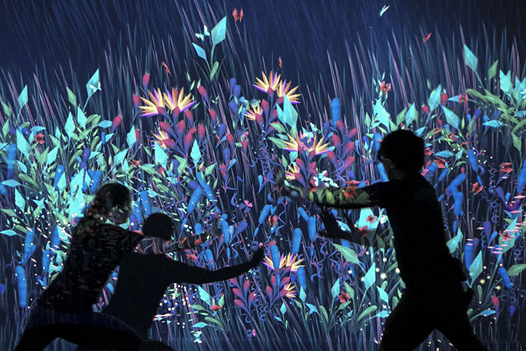 數(shù)字互動(dòng)投影墻